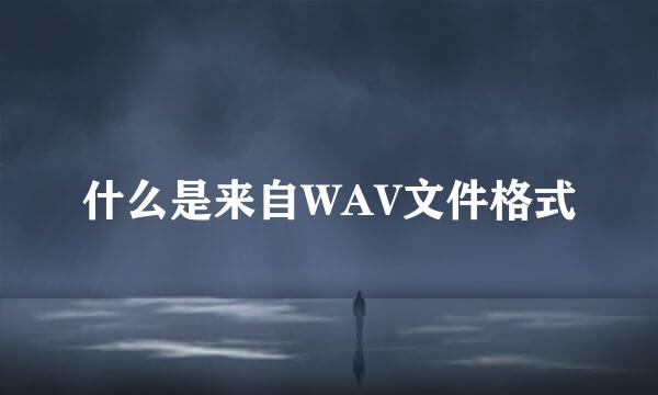 什么是来自WAV文件格式