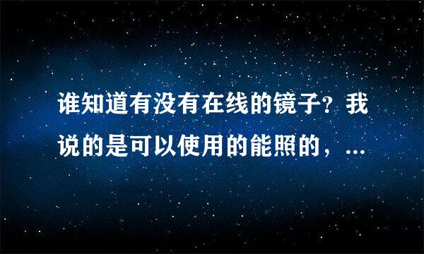 谁知道有没有在线的镜子？我说的是可以使用的能照的，就象现实中的一样，能照？/