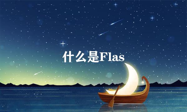 什么是Flas