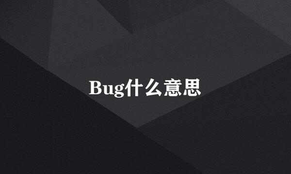 Bug什么意思