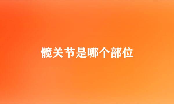 髋关节是哪个部位