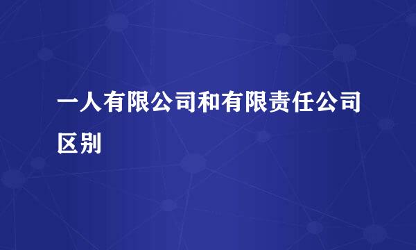 一人有限公司和有限责任公司区别