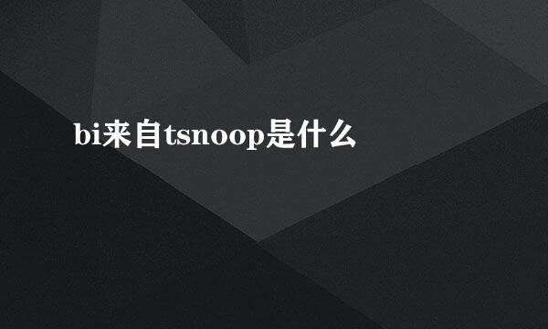 bi来自tsnoop是什么