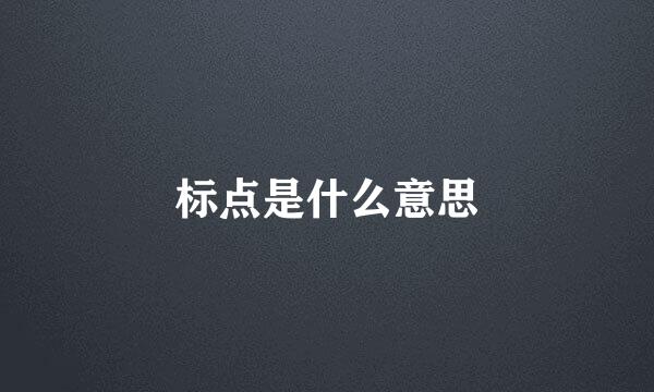 标点是什么意思