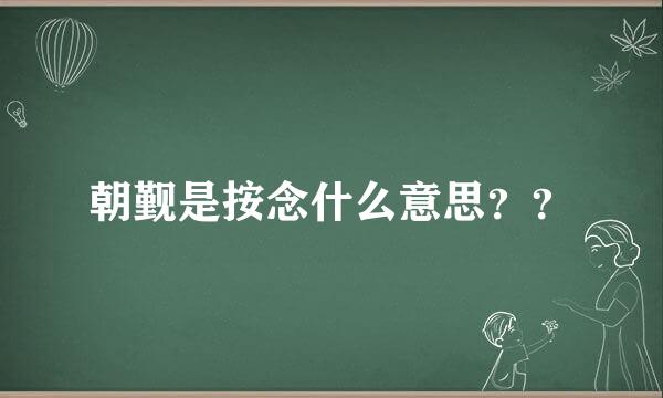 朝觐是按念什么意思？？