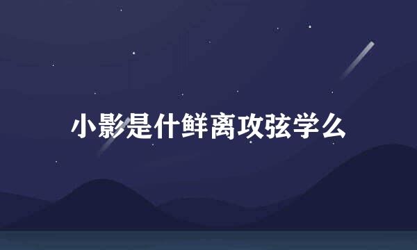 小影是什鲜离攻弦学么