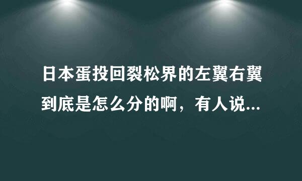 日本蛋投回裂松界的左翼右翼到底是怎么分的啊，有人说左翼是鸽派比较温和，还有人说右翼是鸽派！到底那个是鸽派那个...