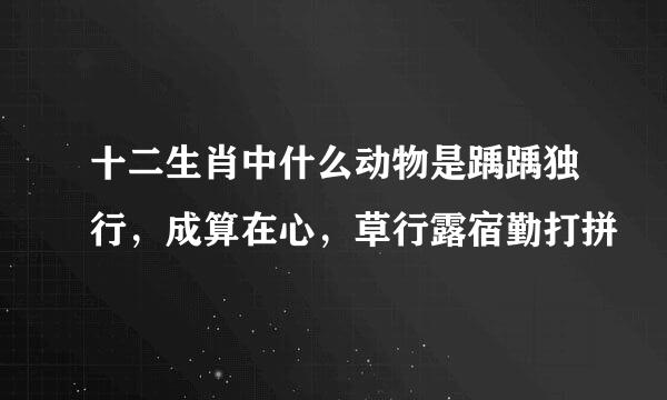 十二生肖中什么动物是踽踽独行，成算在心，草行露宿勤打拼