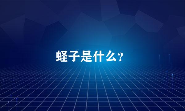 蛏子是什么？