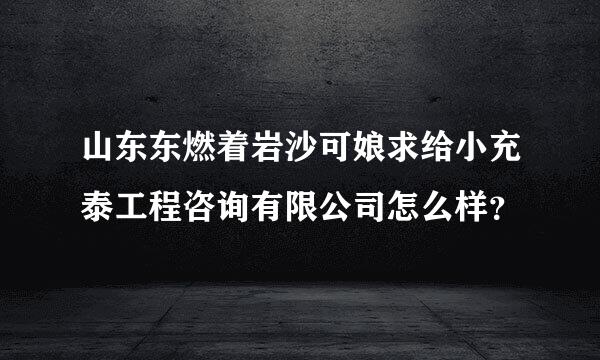 山东东燃着岩沙可娘求给小充泰工程咨询有限公司怎么样？