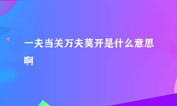 一夫当关万夫莫开是什么意思啊