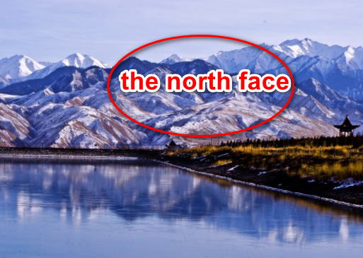 The North Face