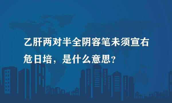 乙肝两对半全阴容笔未须宣右危日培，是什么意思？