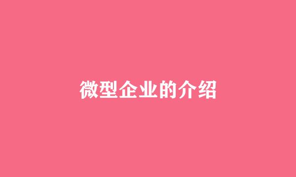 微型企业的介绍