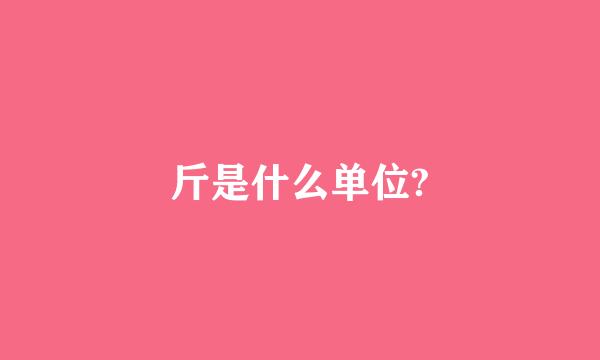 斤是什么单位?