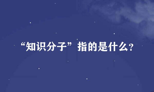 “知识分子”指的是什么？