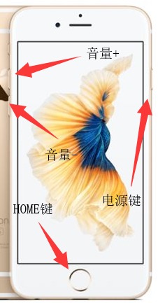 iphone怎么强制关机