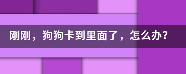 刚刚，狗狗卡到里面了，怎么办？