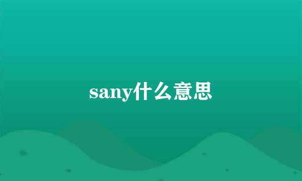 sany什么意思