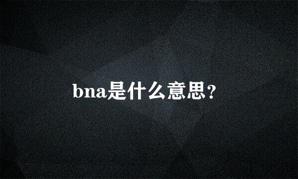 bna是什么意思？