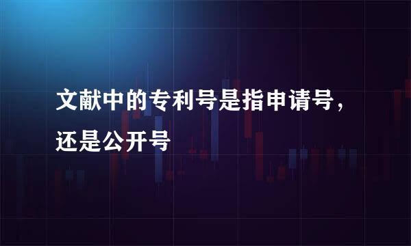 文献中的专利号是指申请号，还是公开号