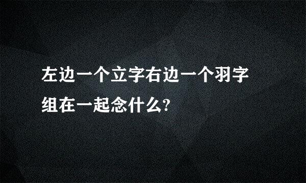 左边一个立字右边一个羽字 组在一起念什么?