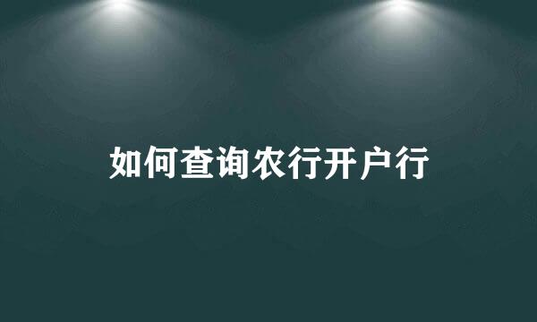 如何查询农行开户行