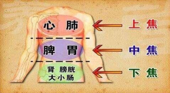 六腑指什么？？？？补超妒伟备鲁头企？？？