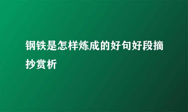 钢铁是怎样炼成的好句好段摘抄赏析