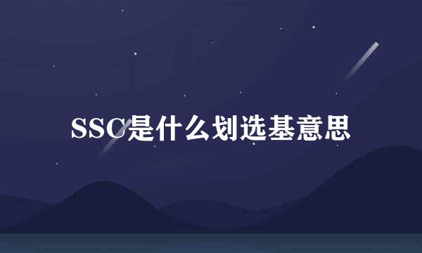 SSC是什么划选基意思