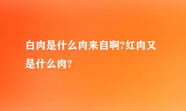 白肉是什么肉来自啊?红肉又是什么肉?