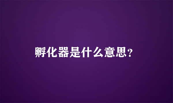 孵化器是什么意思？