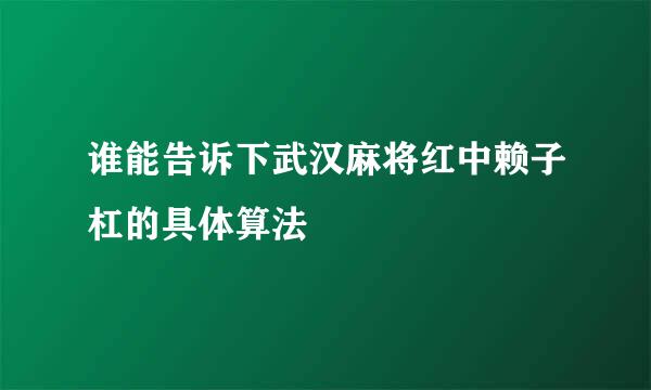 谁能告诉下武汉麻将红中赖子杠的具体算法