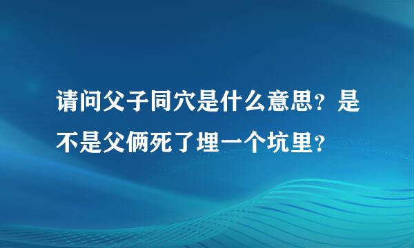 请问父子同穴是什么意思？是不是父俩死了埋一个坑里？