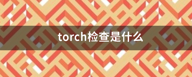 torch检查是什么