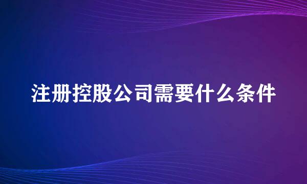 注册控股公司需要什么条件