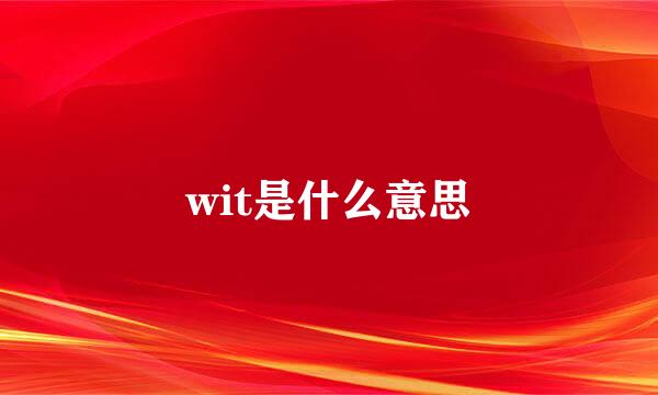 wit是什么意思