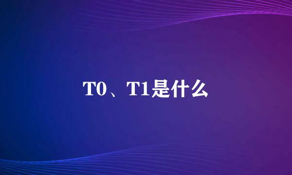 T0、T1是什么