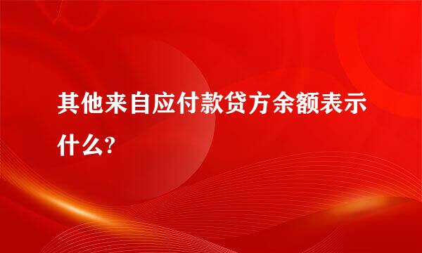 其他来自应付款贷方余额表示什么?