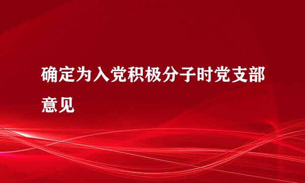 确定为入党积极分子时党支部意见