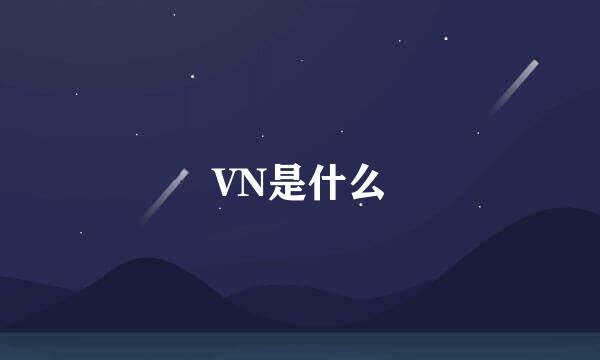 VN是什么