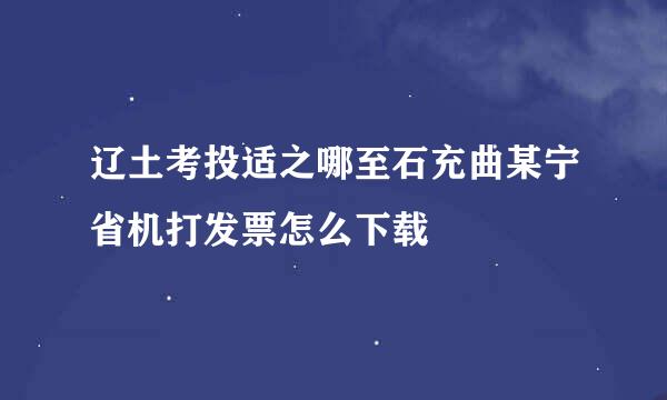 辽土考投适之哪至石充曲某宁省机打发票怎么下载