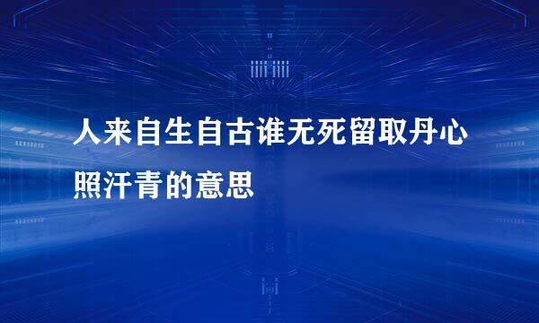 人来自生自古谁无死留取丹心照汗青的意思