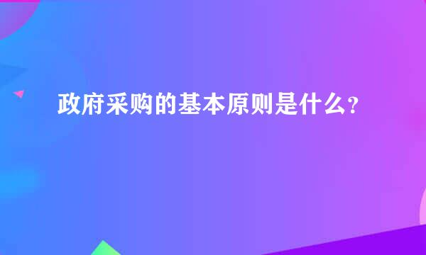 政府采购的基本原则是什么？