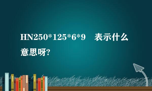 HN250*125*6*9 表示什么意思呀?