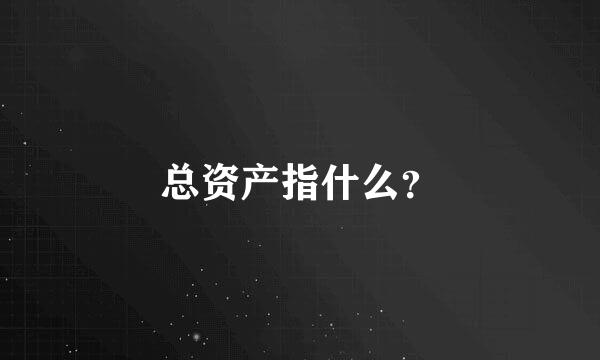 总资产指什么？