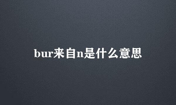 bur来自n是什么意思