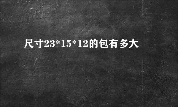 尺寸23*15*12的包有多大