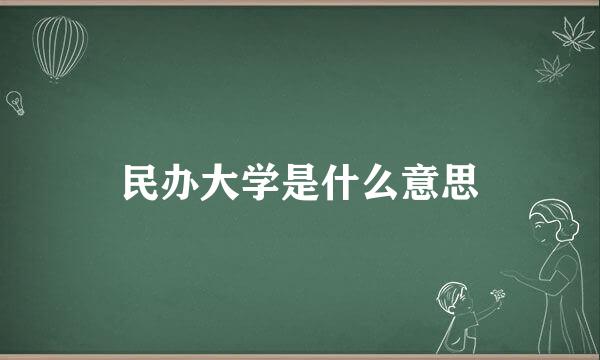 民办大学是什么意思