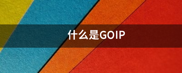 什么是G其OIP